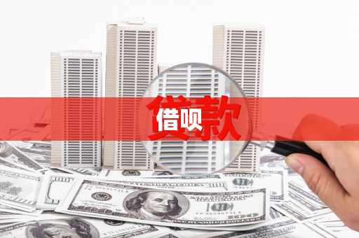 麻豆借呗