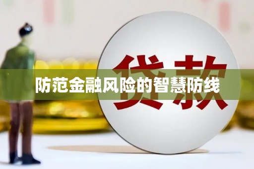麻豆防范金融风险的智慧防线