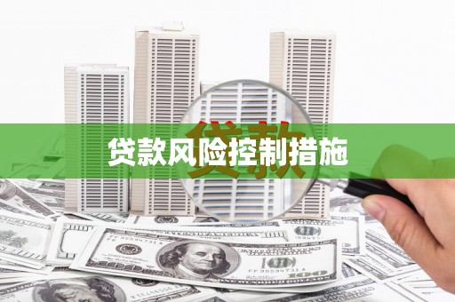 麻豆贷款风险控制措施