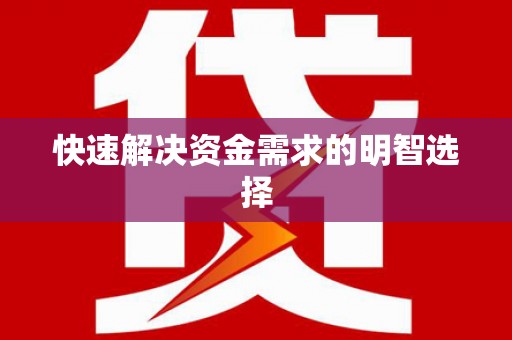 麻豆快速解决资金需求的明智选择