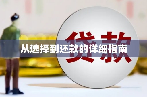 麻豆从选择到还款的详细指南