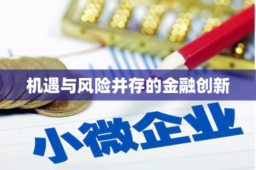 麻豆机遇与风险并存的金融创新