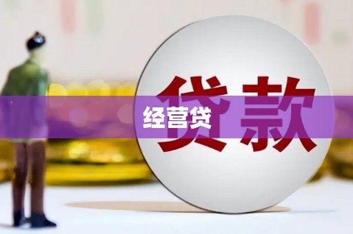麻豆经营贷