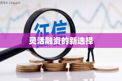 麻豆灵活融资的新选择