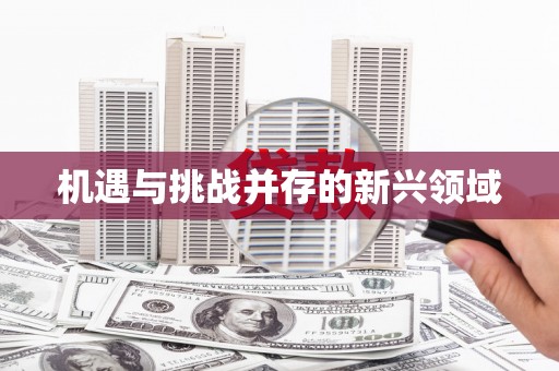 麻豆机遇与挑战并存的新兴领域