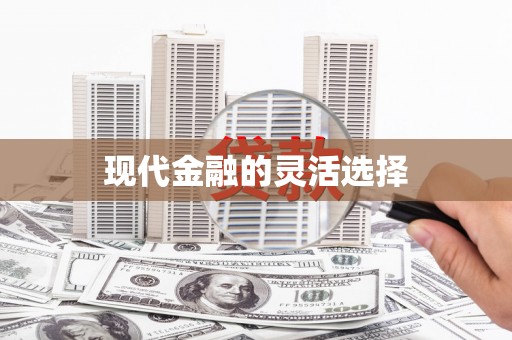 麻豆现代金融的灵活选择