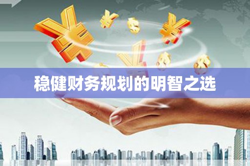 麻豆稳健财务规划的明智之选