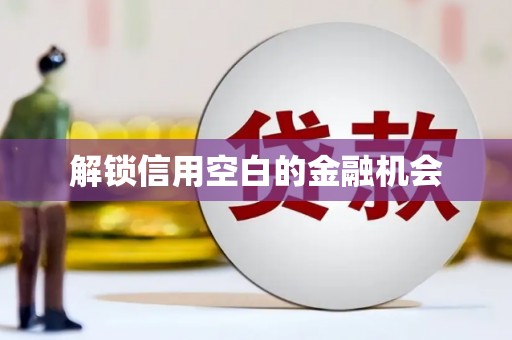 麻豆解锁信用空白的金融机会