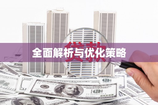 麻豆全面解析与优化策略