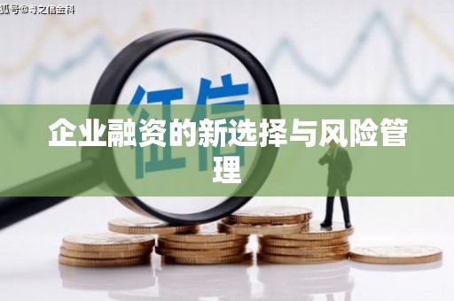 麻豆企业融资的新选择与风险管理