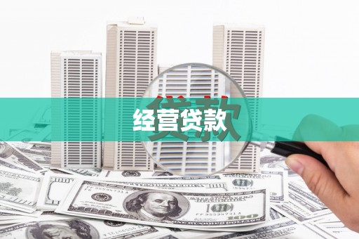 麻豆经营贷款