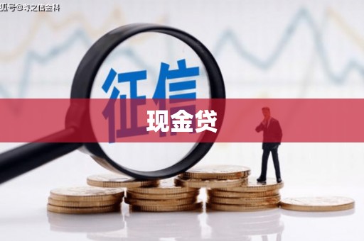 麻豆现金贷