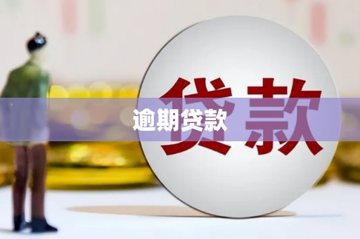 麻豆逾期贷款