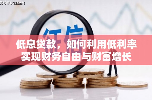 麻豆低息贷款，如何利用低利率实现财务自由与财富增长