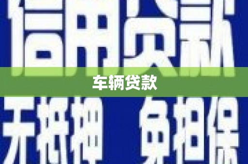 麻豆车辆贷款